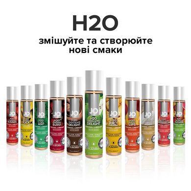 Лубрикант на водной основе System JO H2O - GREEN APPLE (30 мл) SO1481 фото