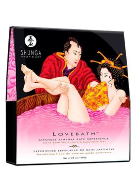 Гель для ванни Shunga LOVEBATH – Dragon Fruit 650 г, робить воду ароматним желе зі SPA-ефектом SO2544 фото