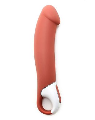 Вибратор Satisfyer Vibes Master SO2205 фото