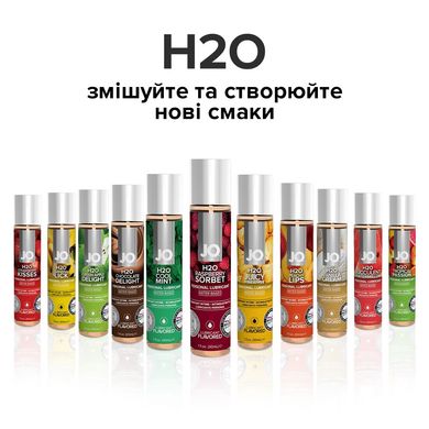 Змазка на водній основі System JO H2O — Raspberry Sorbet (30 мл) без цукру, рослинний гліцерин SO1468 фото